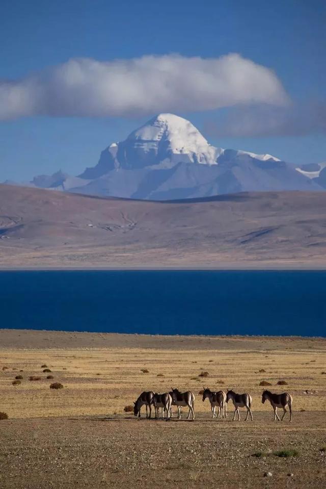 中国最美的12条线路,七八月沿途景色美成天堂