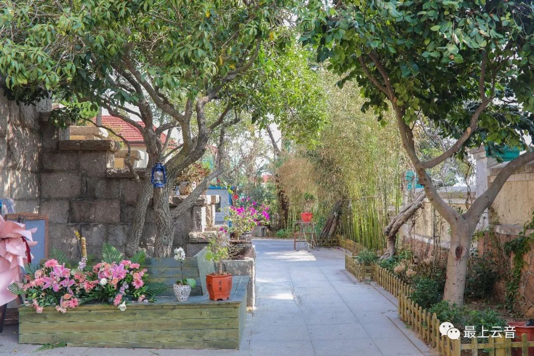 "最上云音"周叔迦故居感受青岛依山书屋望海民宿