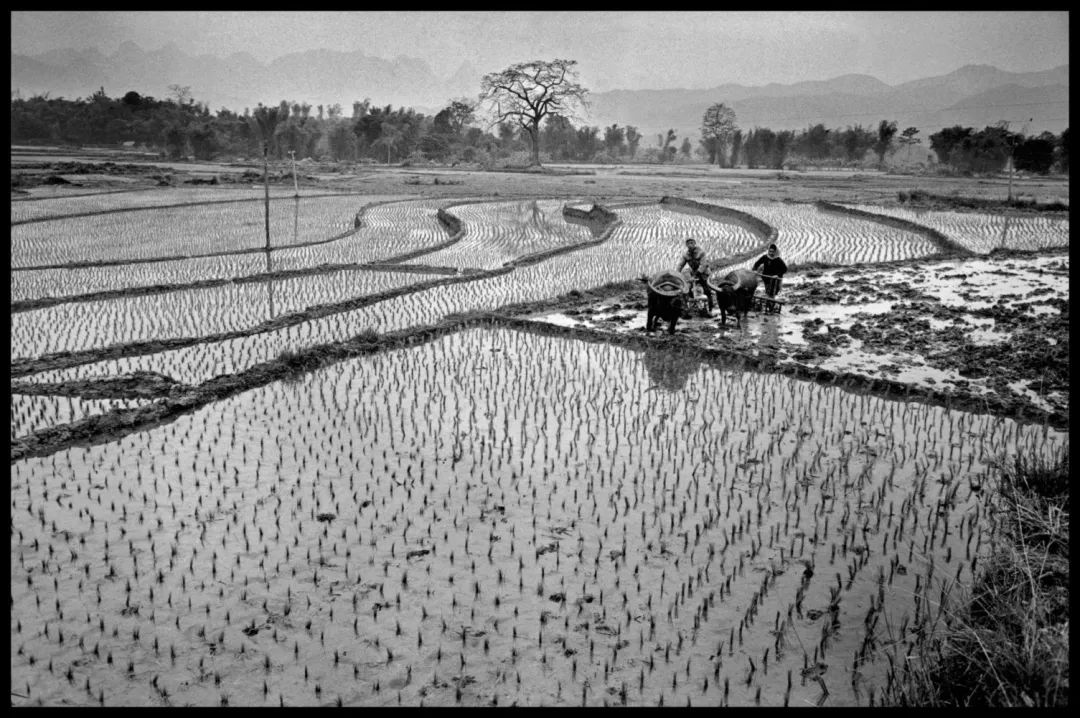 摄影.可以用光绘画,也可以用光写作