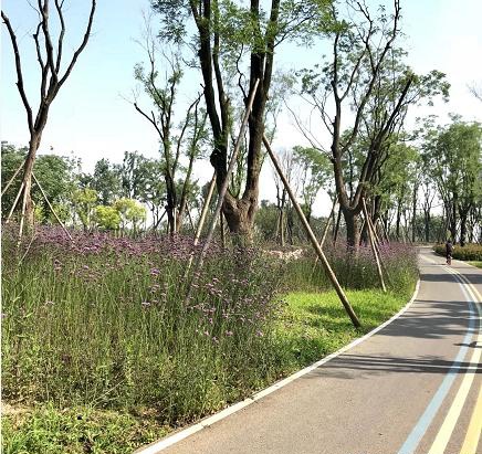 錦江lohas綠道獲評2019年度成都職工心中最美綠道第一名__鳳凰網