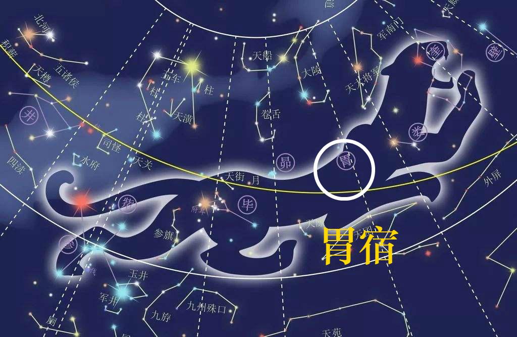 山海经星兽系列,二十八星宿之一,胃宿