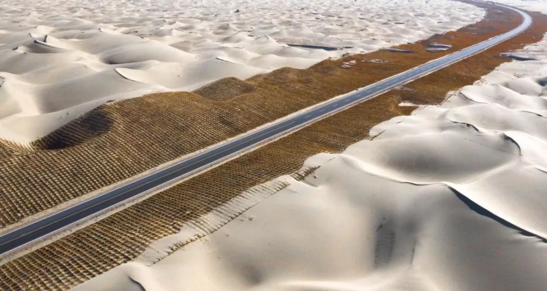 突然,中国公布一组照片,世界难以置信!给孩子看看