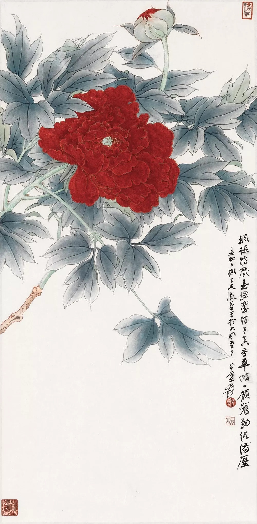 张大千花鸟画高清100幅
