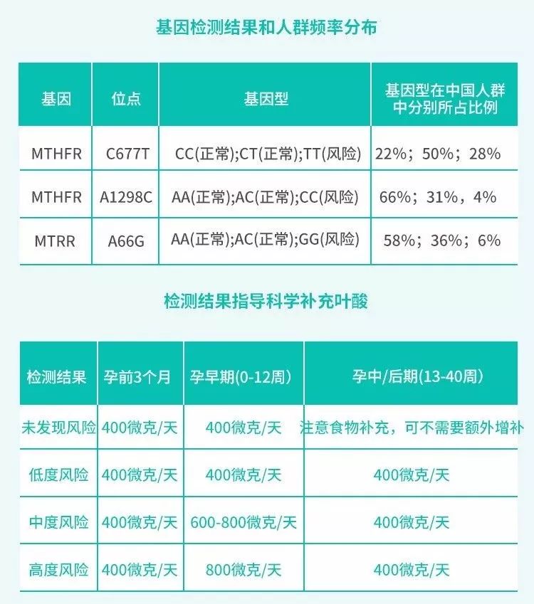 葉酸該怎麼補?準媽媽備孕指南,基因檢測告訴你