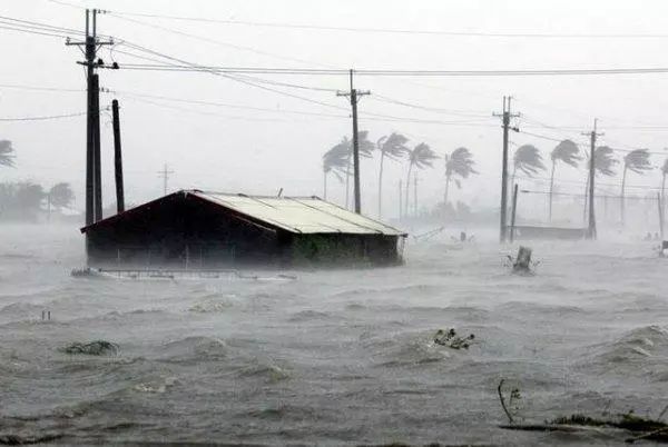 2006年第8号台风桑美