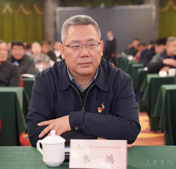 宣传部长朱鸿,市招商局局长胡东生应邀出席仪式,县领导纪良才,巩文生