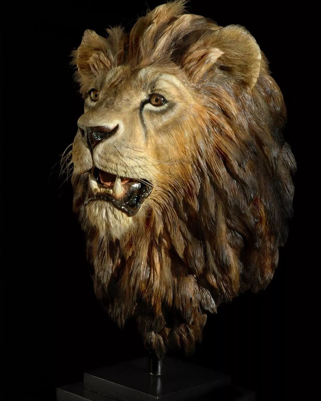 michelevitaloni超写实动物雕塑