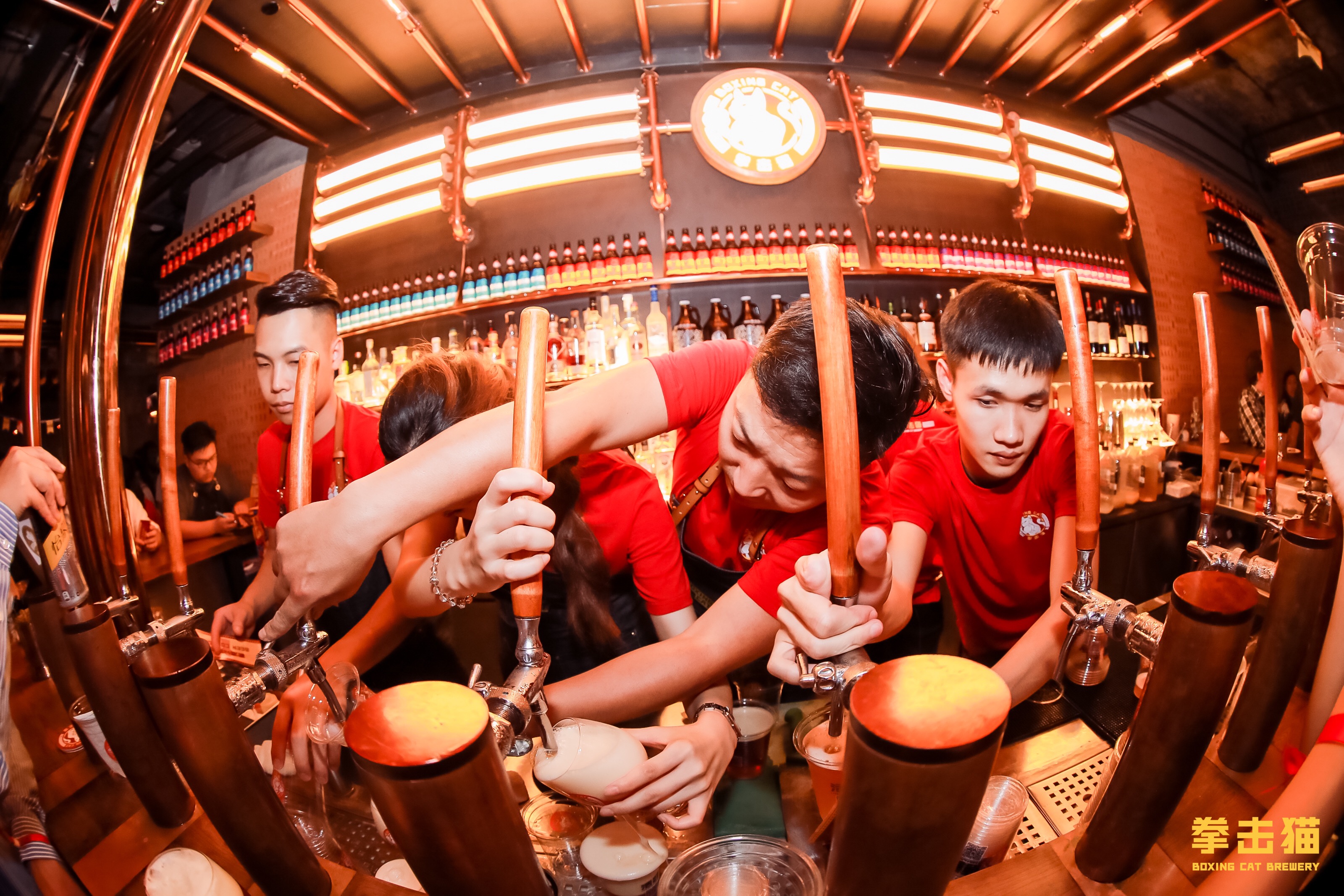 热血精酿点燃冠军之夜拳击猫新天地旗舰店盛大开业