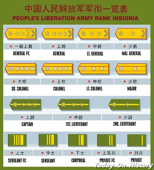 国民党军官领章级别图图片