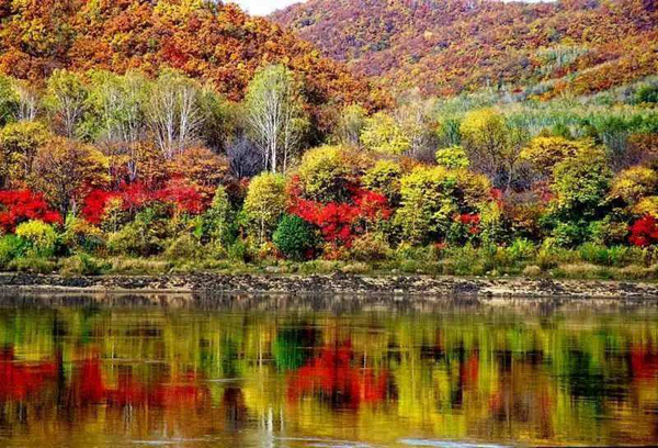 式现场第八届中国·哈尔滨五花山赏秋节开幕式现场东北网9月26日讯