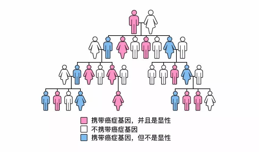 具有癌症或多基因遗传病家族史的人是最需要做基因检测的对象,以便及