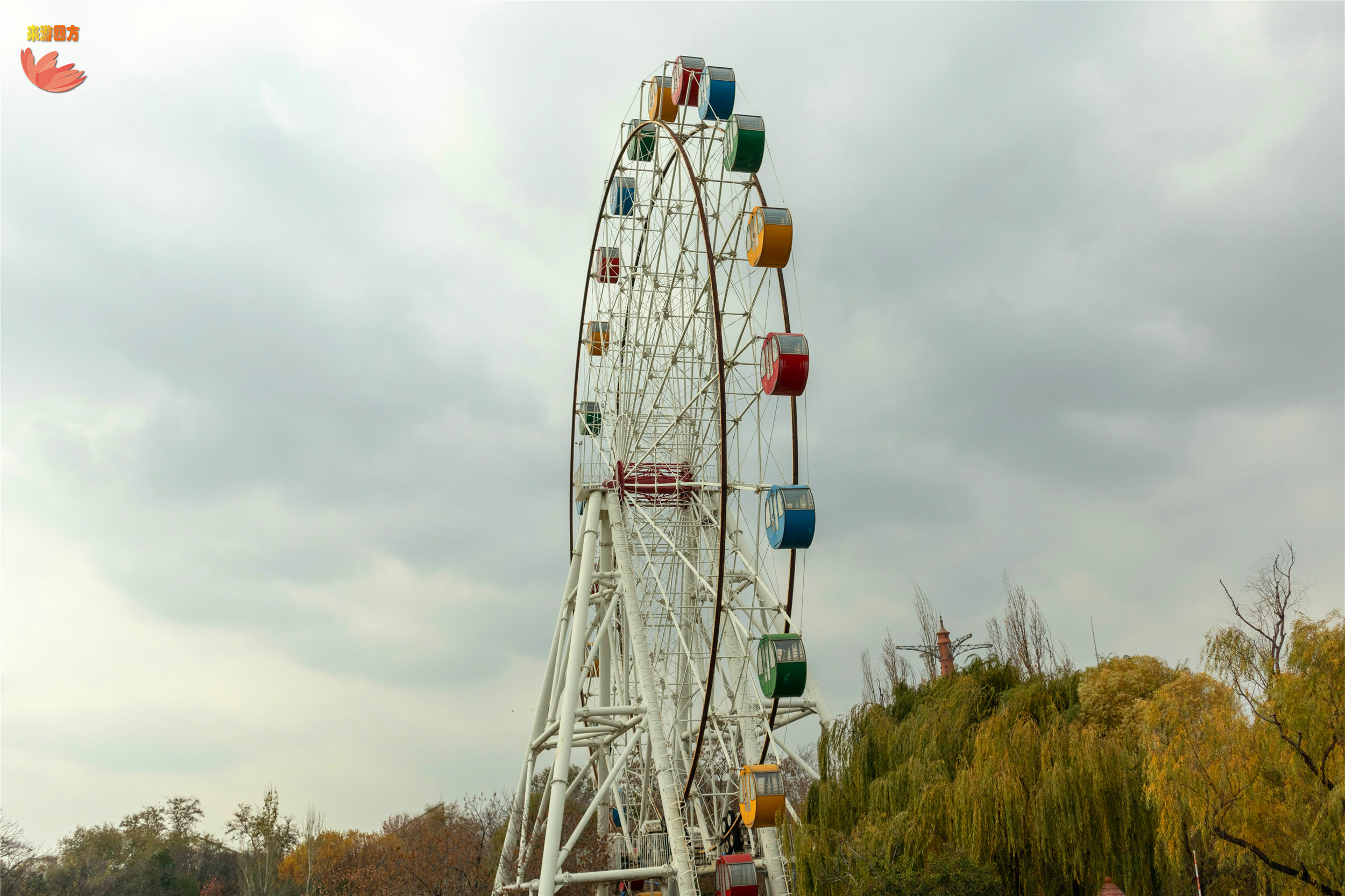 初冬的泉城公园,叶落无声,虽显萧瑟却是别有韵味