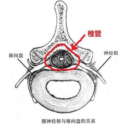 凤凰网