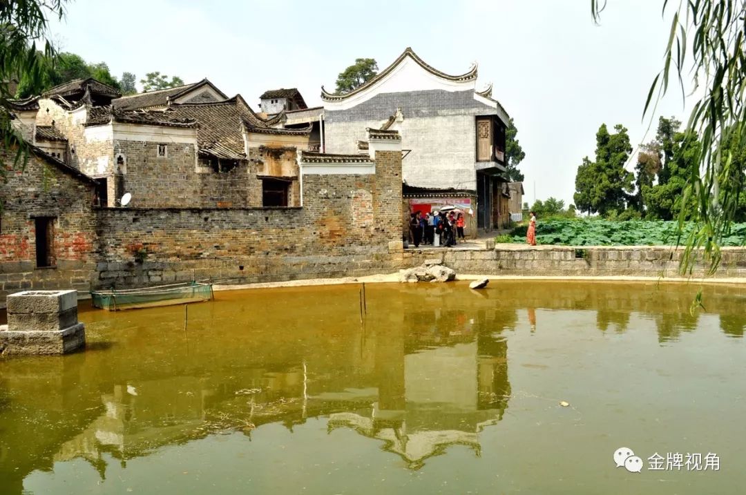 永州新田旅游景点大全图片