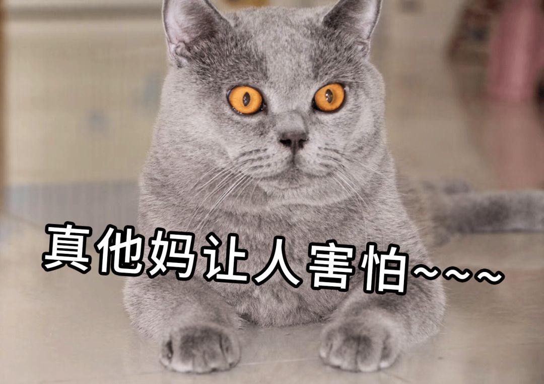 叶檀:首富消亡?