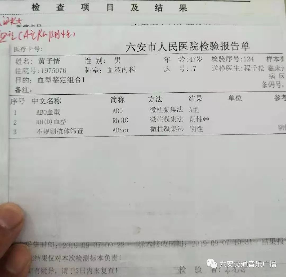 六安罗集这位重病患者急需"熊猫血"__凤凰网