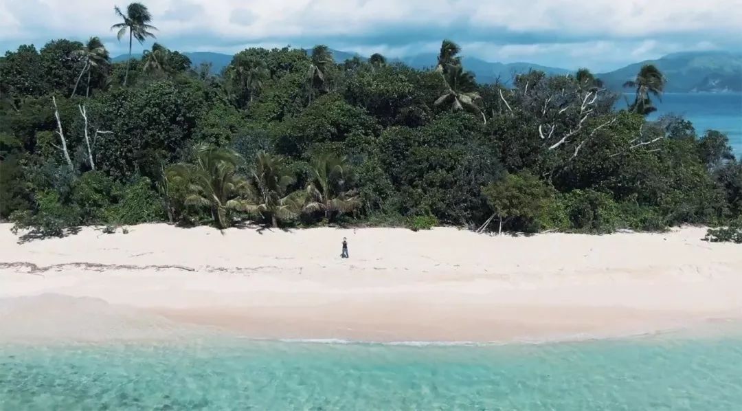 被鲨鱼追杀在荒岛求生中国姑娘外网爆火这样的30岁我也想要