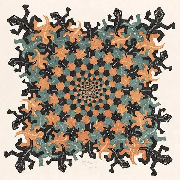 埃舍尔艺术世界里的数学家数学家中的艺术天才