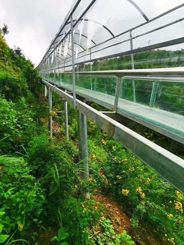 福建平和柚乡~富氧天堂高峰谷茶园,给你挡不住的"柚"惑!