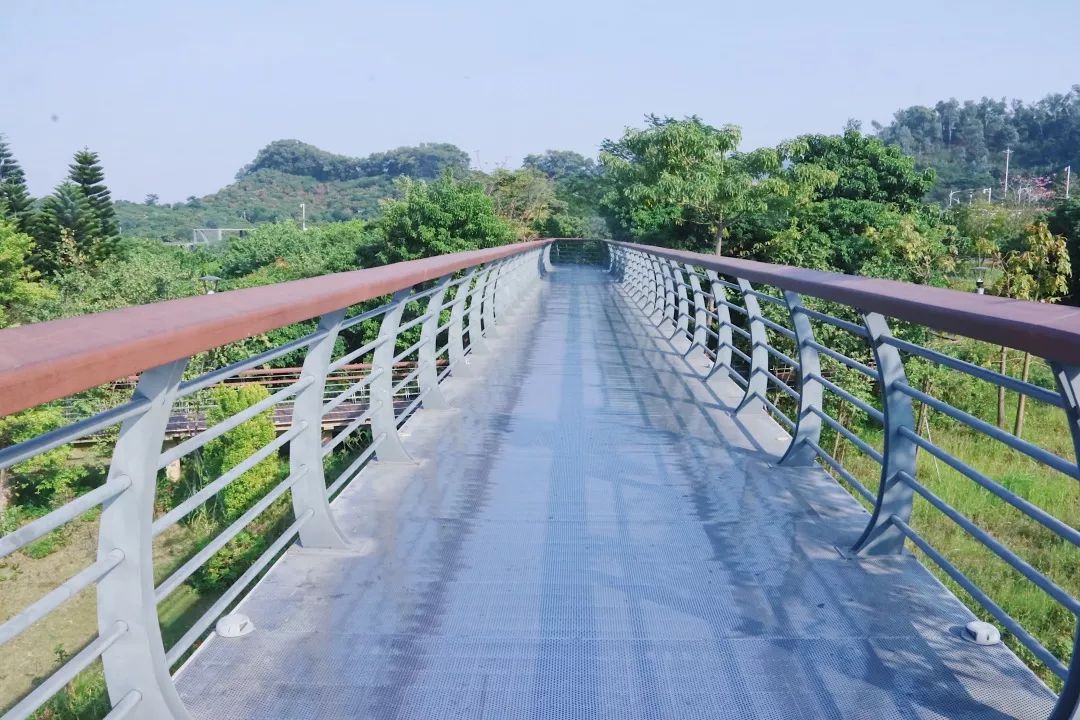 8000m绿道 空中长廊!周末来深圳「小西湖」,赏秋冬之美