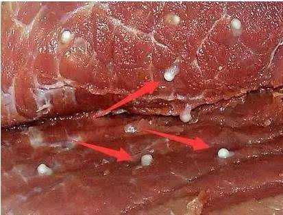 危害到底有多大?