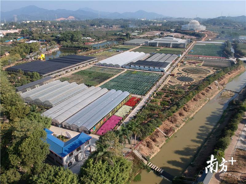 组图| 航天育种 北果南种,造就惠州农业奇观