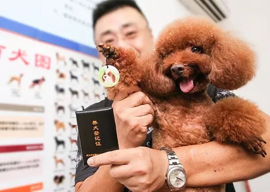 太原最严养犬条例下月实施!养犬不登记罚款500元