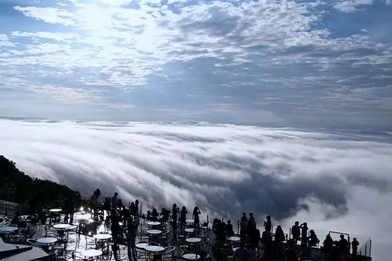 安藤忠雄大师的 水之教堂,所谓伊人,在水一方