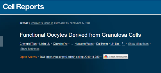 Cell子刊：中国科学家化学重编程体细胞形成卵母细胞 具有治疗不孕的潜力__凤凰网