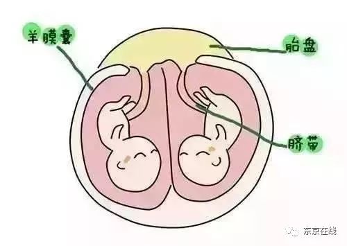羊膜移植可帮助患者恢复视力日本开始技术普及