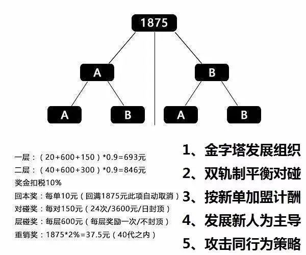 “绿叶”集资诈骗，涉嫌传销拉人头，全国各地头目即将被抓__凤凰网