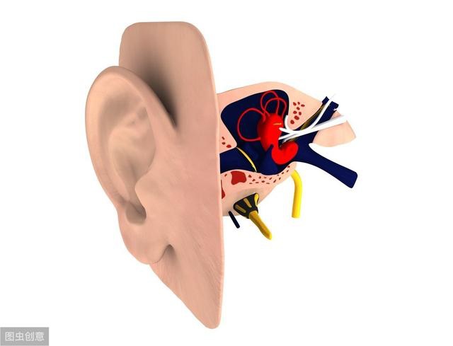 左右颠倒,前后不分还经常摔倒?那是前庭觉失调了