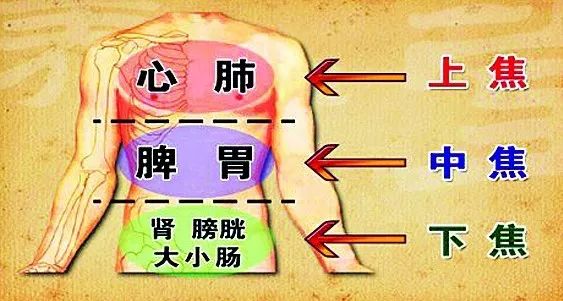 跑步看似下肢运动,而实则锻炼全身,同样也调理五脏六腑.