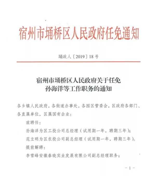 宿州市埇桥区人民政府公布一批人事任免名单