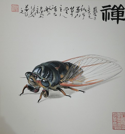 蝉:一鸣惊人之寓意,重生之寓意,既有金蝉脱壳之美意,又有佛家之禅意.