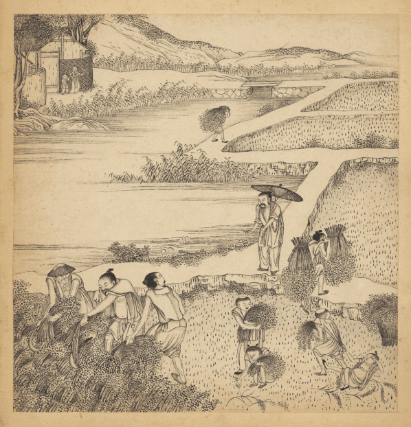 第二届丰收节奏响前奏曲一大波扶贫活动庆祝丰收正在路上