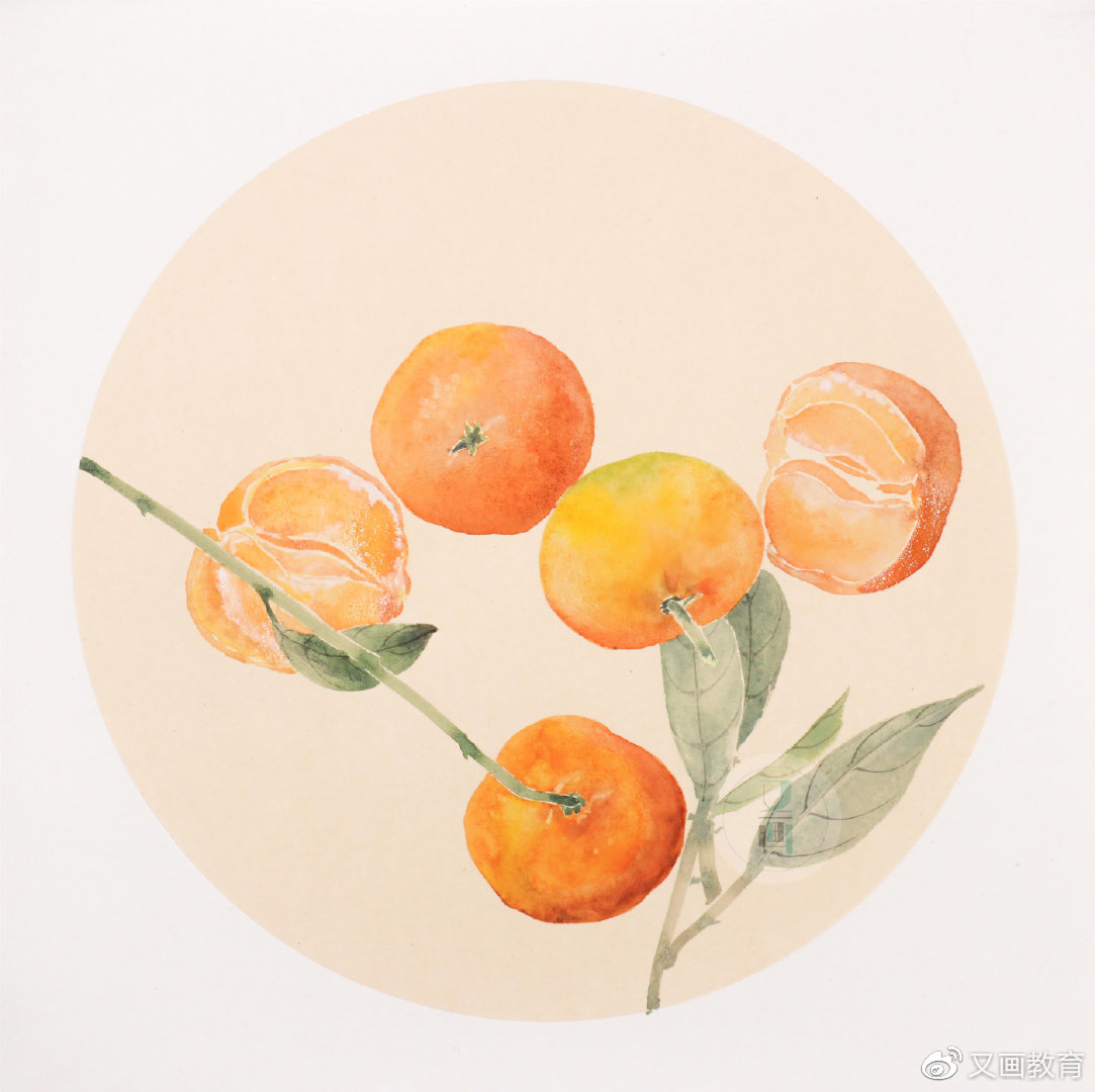 国画教程没骨橘子