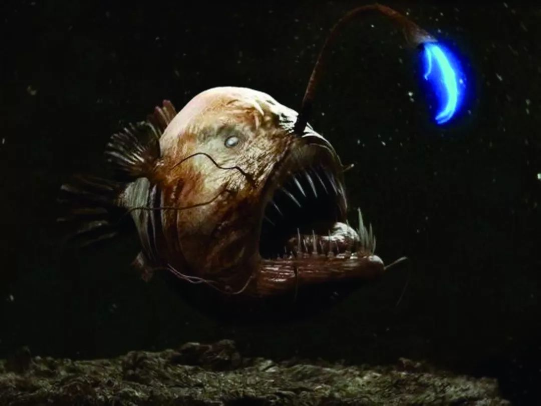 深海里的外星鱼
