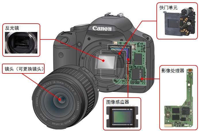 照相机的结构示意图图片