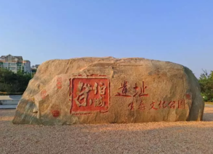 从cbd到ccd郑马最美赛道来啦郑州全城风景等着你