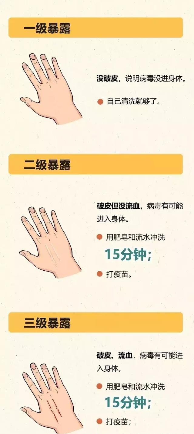 被猫狗咬伤后第一步,多数人都错了__凤凰网