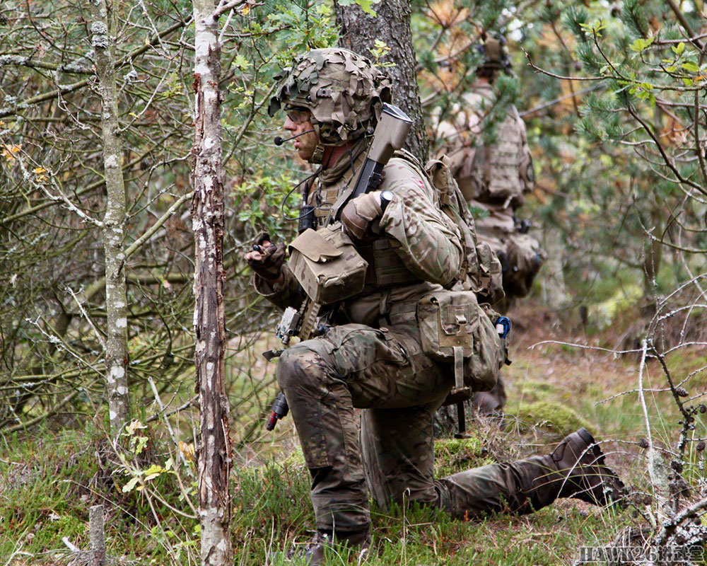 丹麦陆军勇敢雄狮演习童话之国崇尚力量武器装备非常先进