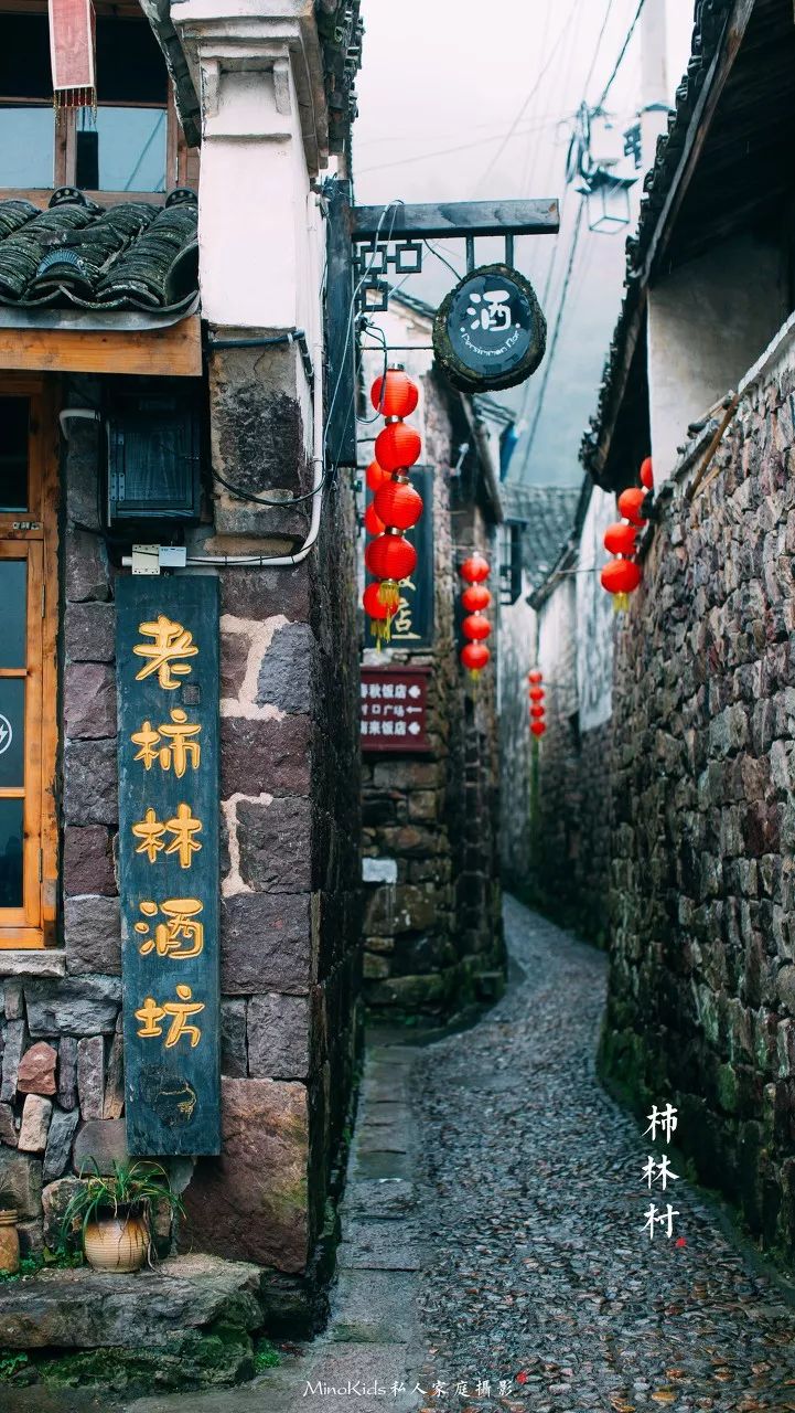 满山都是红柿子！这个600年的古村 再也藏不住了_凤凰网