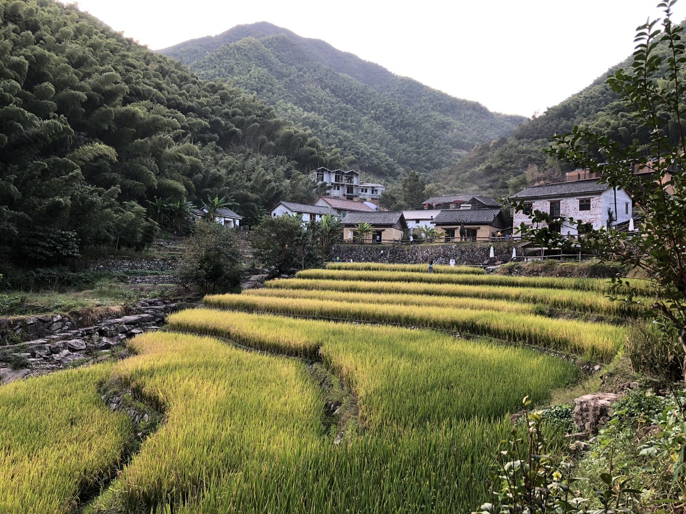 桐庐戴家山的浮生半日,城市人仿佛在这里找到了向往的时光__凤凰网