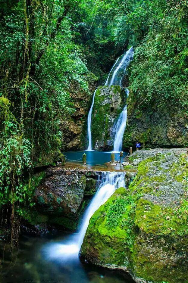 避暑攻略—青城山__凤凰网