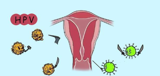 hpv感染者要如何清除病毒__凤凰网