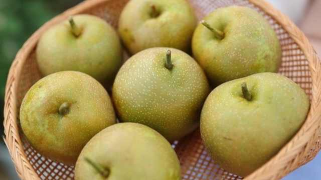 清新可口的灌阳雪梨,曾是古代贡品