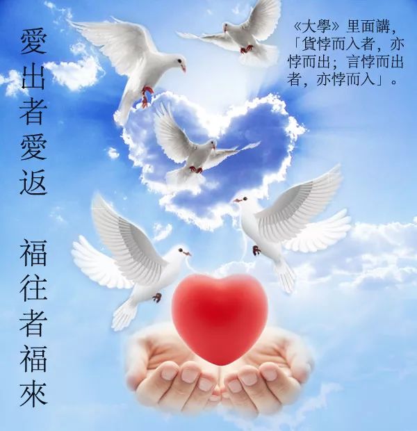 万物有灵善待一切有情法布施本文功德等同放生