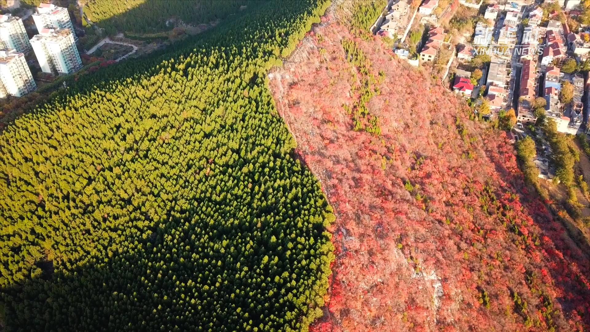 蝎子山水库图片