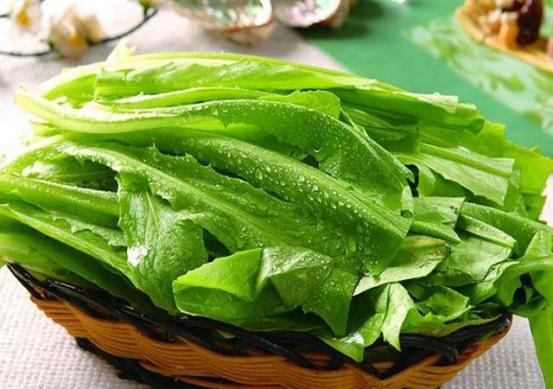 佳肴凤尾菜中极品吃到就是挣到美容养眼